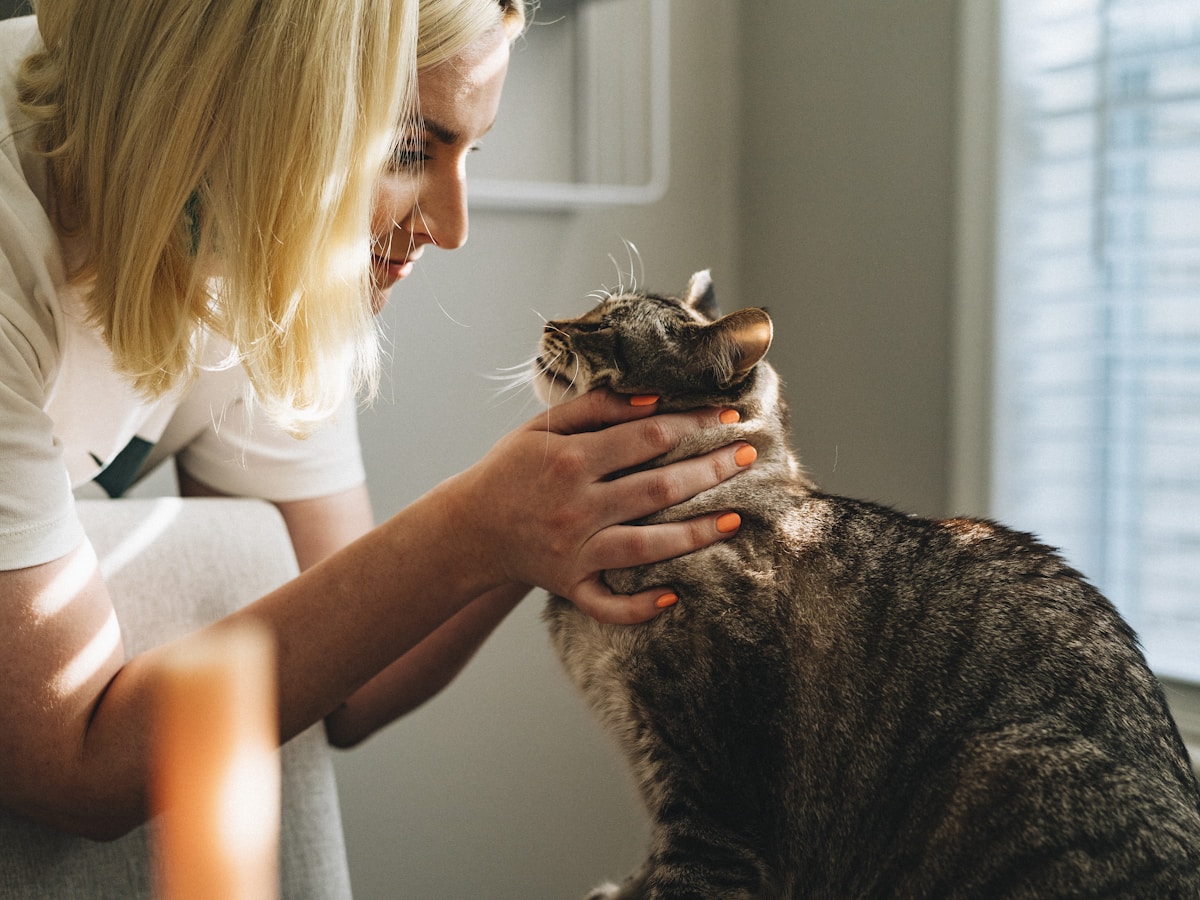 pet shop owner caring for animals warm environment